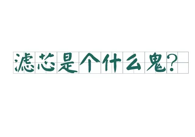 濾芯是什么